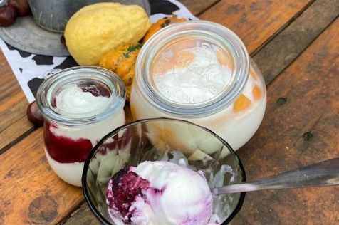 Melkhus Ardestorf - Regionale Produkte - Milcheis